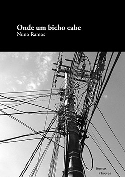 08.Capa-Nuno-Ramos-publicar-livro