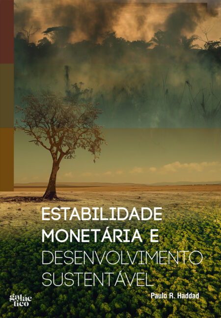 capa_estabilidademonetaria_3000px